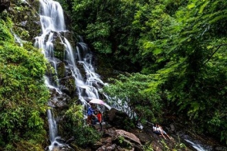 6 tháng đầu năm 2018, điểm du lịch sinh thái và diễn giải môi trường Vườn thực vật đón hơn 18.585 lượt khách tham quan